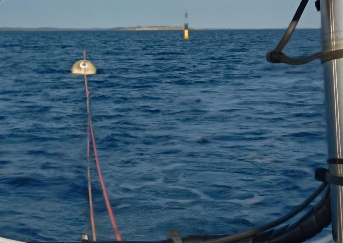 Turbøje på afveje