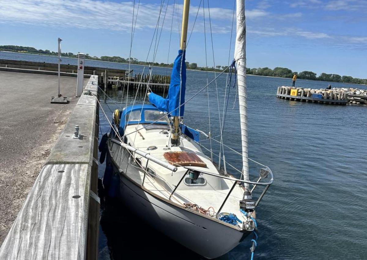 Bianca 27 Hårbølle