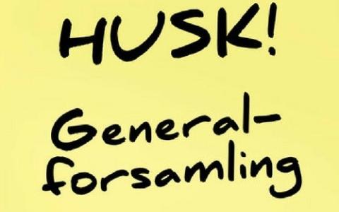generalforsamling