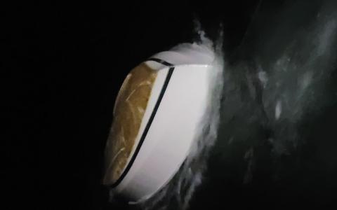 Sejlbåd