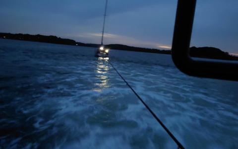 Havfruen af Kolding
