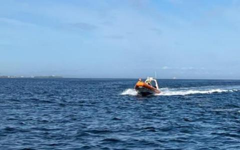 Billede taget haveristen da vi ankom