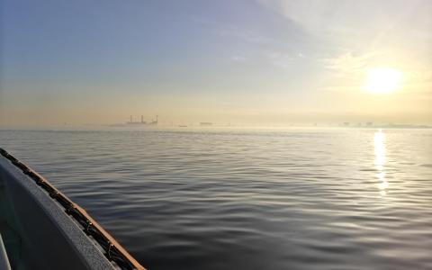 taarbæk 08032025